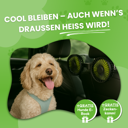 FreshDoggy Koelventilator